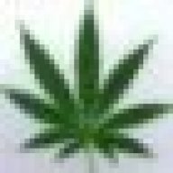 nignig420
