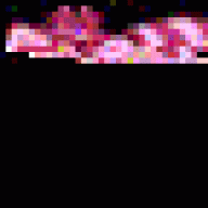 darkamor