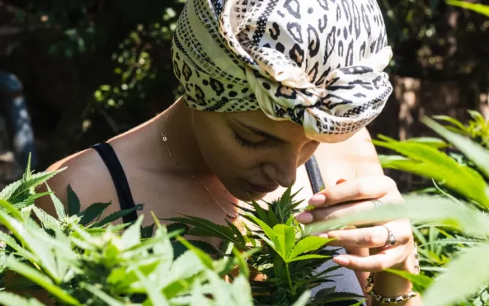 Woman smelling cannabis Imelda Walavalkar