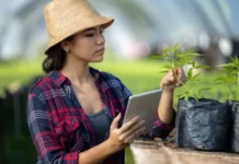12 Women Changing The Cannabis Industry Young woman monitoring cannabis women