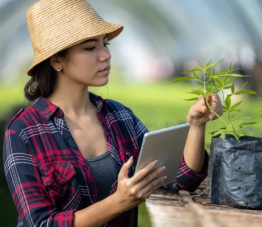 12 Women Changing The Cannabis Industry Young woman monitoring cannabis women